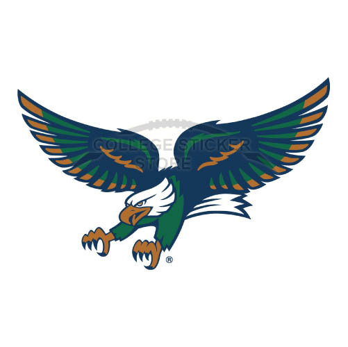 Personal North Texas Mean Green Iron-on Transfers (Wall Stickers)NO.5613